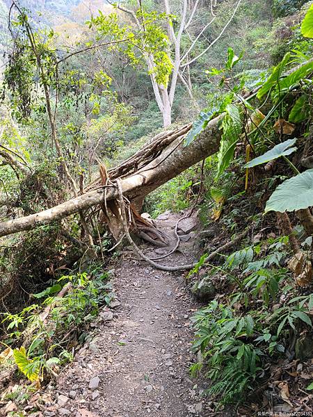 20210225_124648_MXIWox_结果.jpg 20210225_124648_MXIWox_结果.jpg