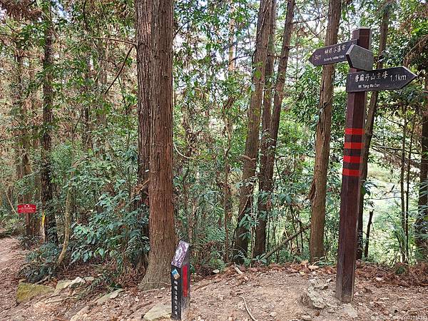 20210225_121914_DUAUAF_结果.jpg 20210225_121914_DUAUAF_结果.jpg