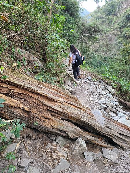 20210225_142002_HHatoW_结果.jpg 20210225_142002_HHatoW_结果.jpg