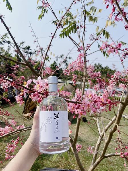 「開箱」台灣優質酒品推薦–芋到你芋頭酒｜好喝順口不辛辣