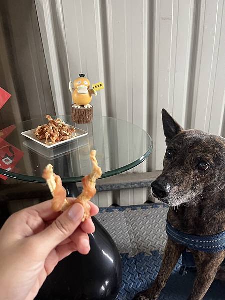 「寵物·零食」營養滿分寵物零食-玉米筍肉肉捲｜狗狗零食｜貓咪