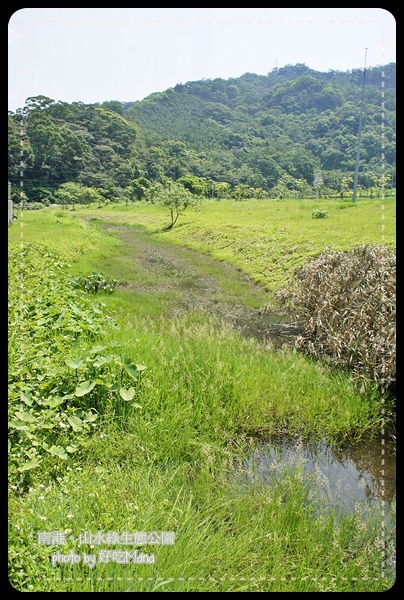 南港山水綠生態公園