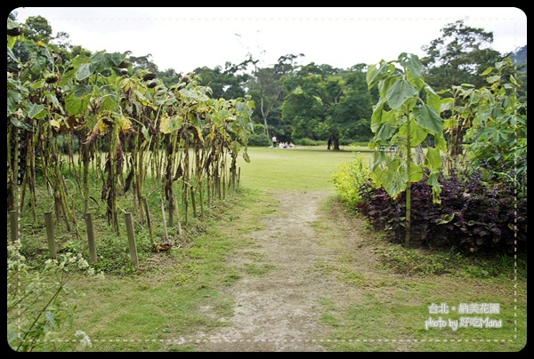 納美花園