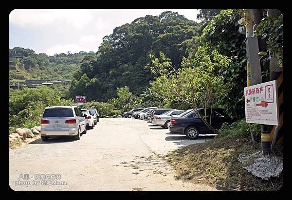 八里桃樂絲森林