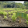 桃園好時節農莊