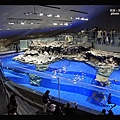 晴空塔水族館