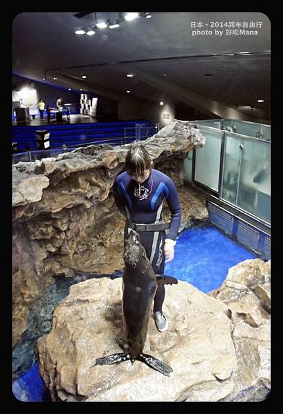 晴空塔水族館