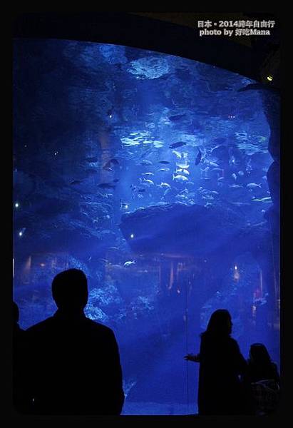 晴空塔水族館