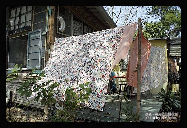 有兒菈菈樹花園