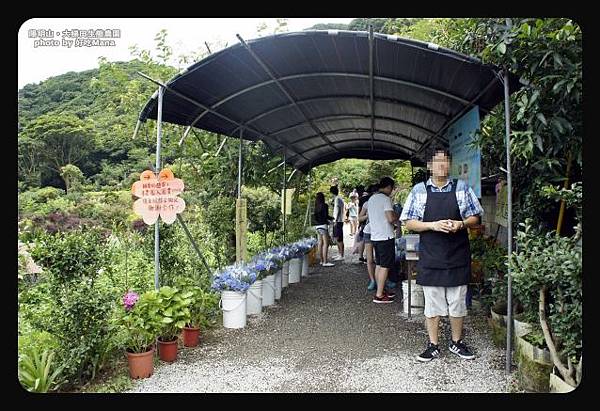 大梯田生態農園