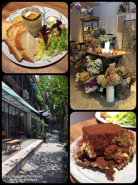 Fujin Tree 353 CAFE