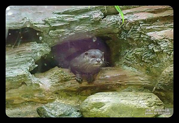 海洋夜未眠Day1-1