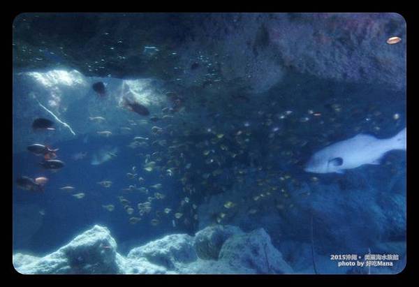 沖繩美麗海水族館