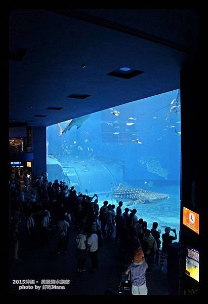 沖繩美麗海水族館