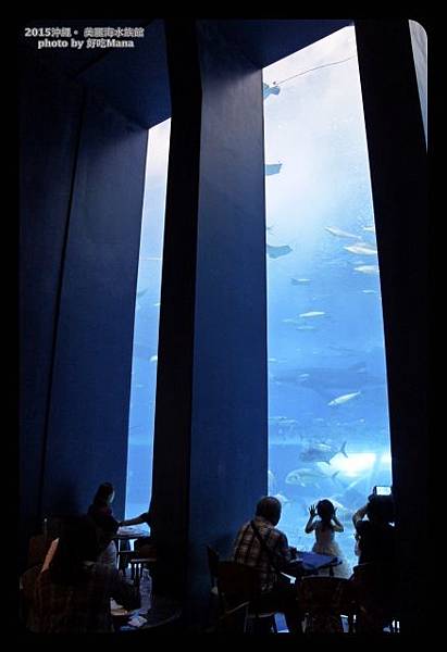 沖繩美麗海水族館