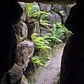 銀河庭園