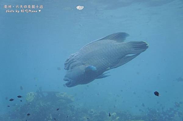 海洋公園