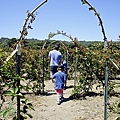 Webb Ranch Farm