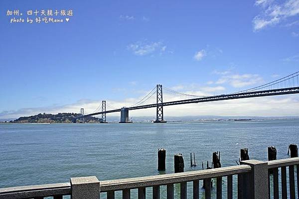 Hog Island Oyster Co