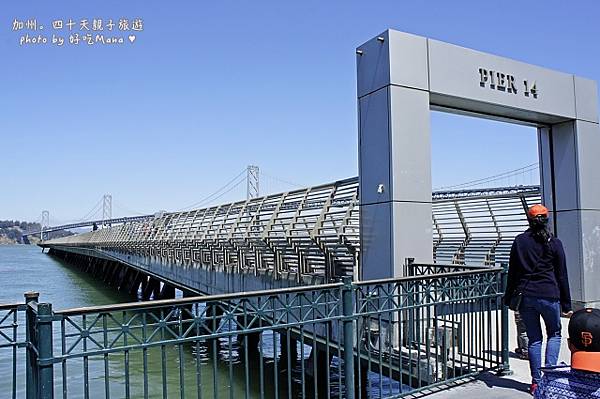 Hog Island Oyster Co