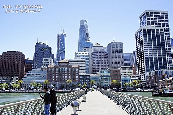 Hog Island Oyster Co