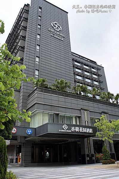 香樹飯店泳池派對 