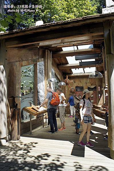 capilano suspension bridge