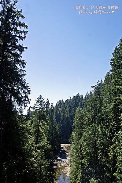 capilano suspension bridge