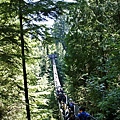 capilano suspension bridge