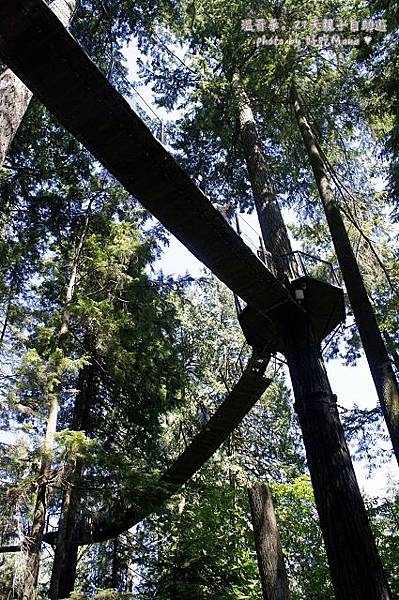 capilano suspension bridge