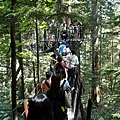 capilano suspension bridge