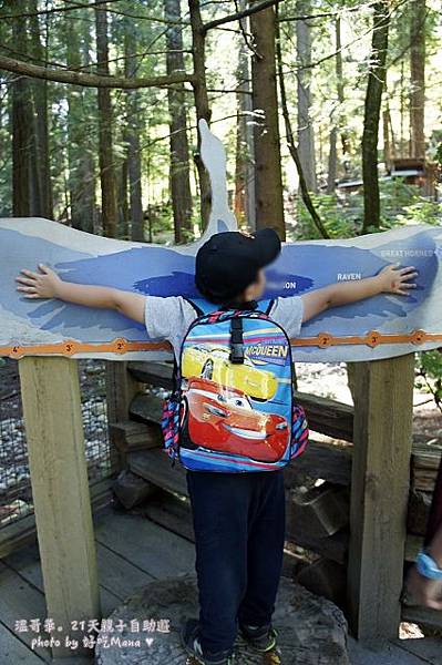 capilano suspension bridge