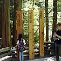 capilano suspension bridge