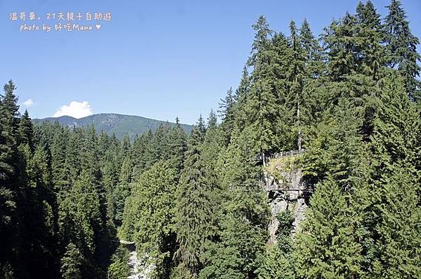 capilano suspension bridge