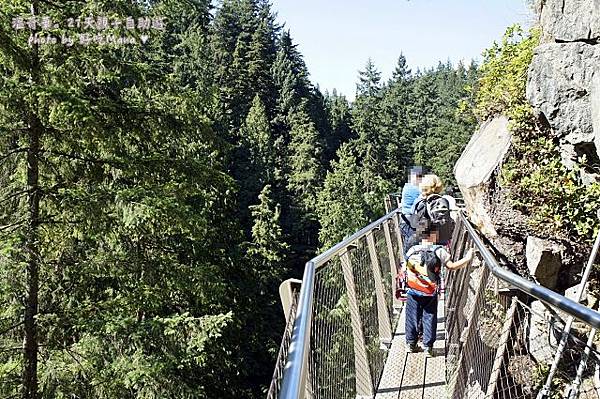 capilano suspension bridge