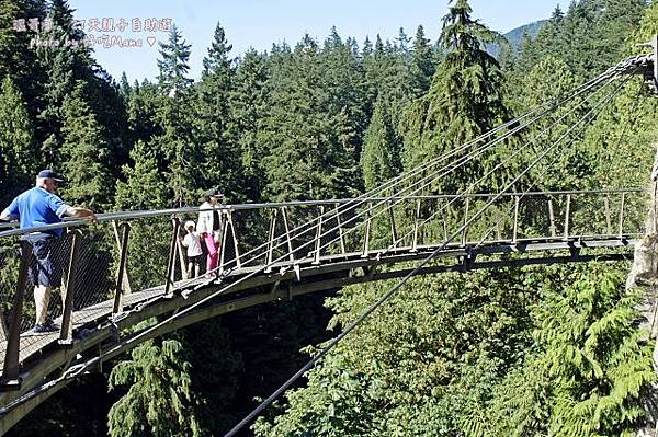 capilano suspension bridge