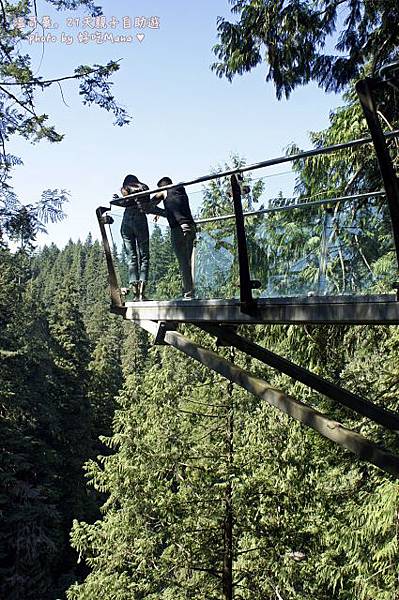 capilano suspension bridge