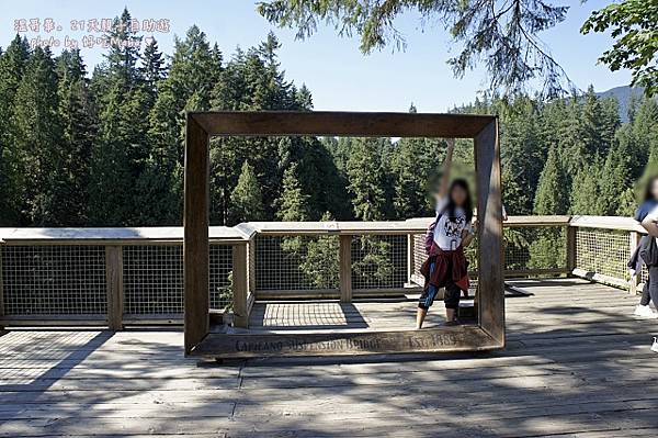 capilano suspension bridge