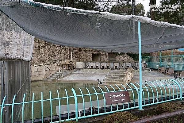 福岡動物園