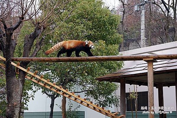 福岡動物園