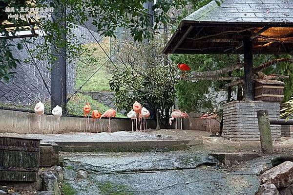 福岡動物園