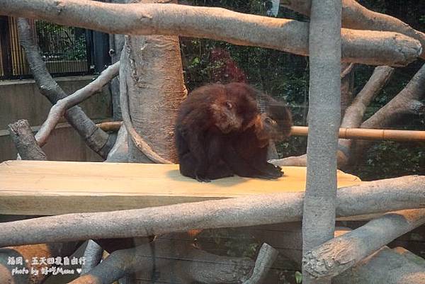 福岡動物園