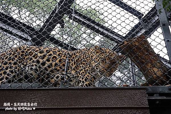 福岡動物園