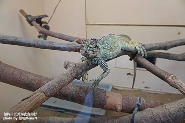 福岡動物園