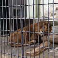 福岡動物園