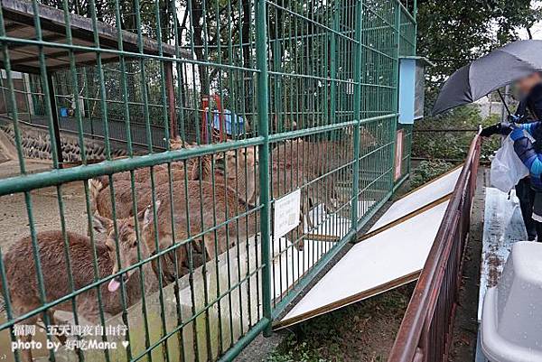 福岡動物園