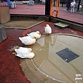 福岡動物園