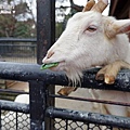 福岡動物園