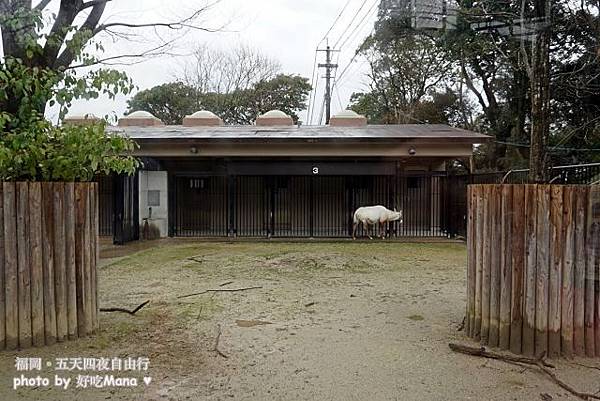 福岡動物園