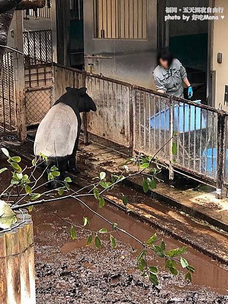 福岡動物園